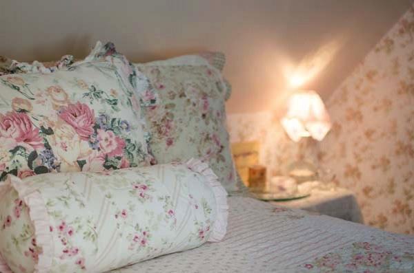 Tea Rose Inn At Plymouth, Nh Ngoại thất bức ảnh